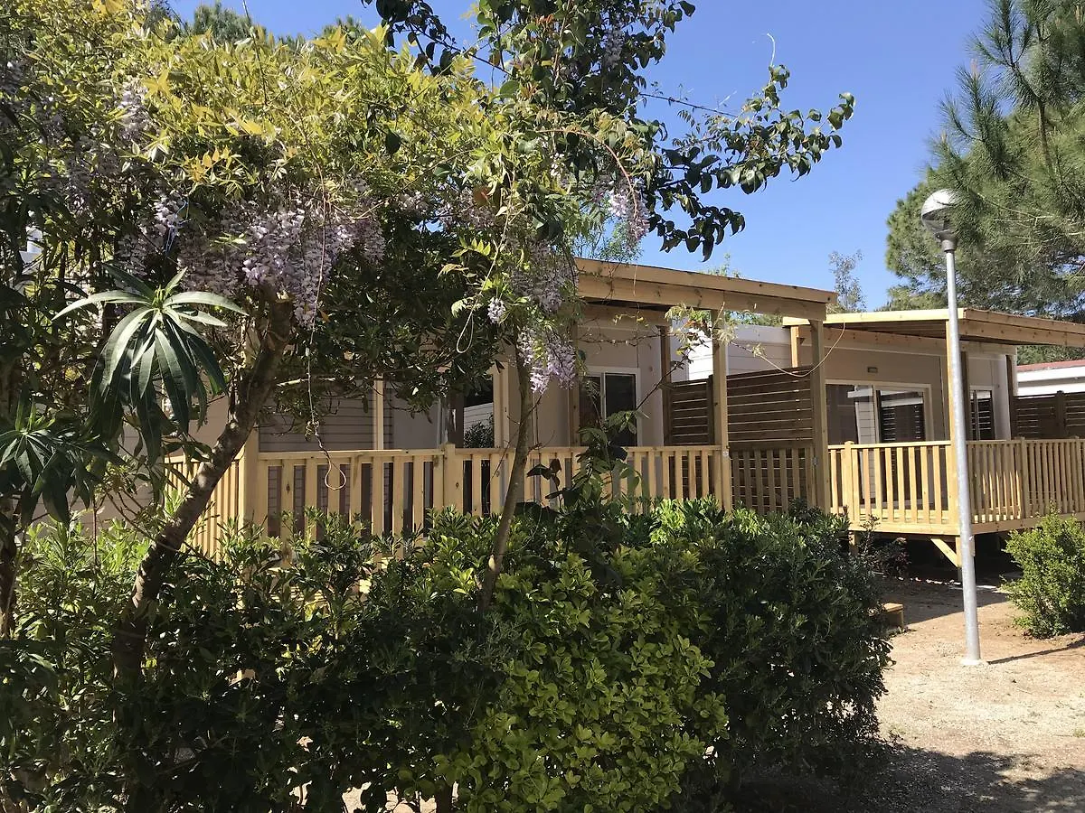 Campeggio Del Forte Marina Di Bibbona Camping